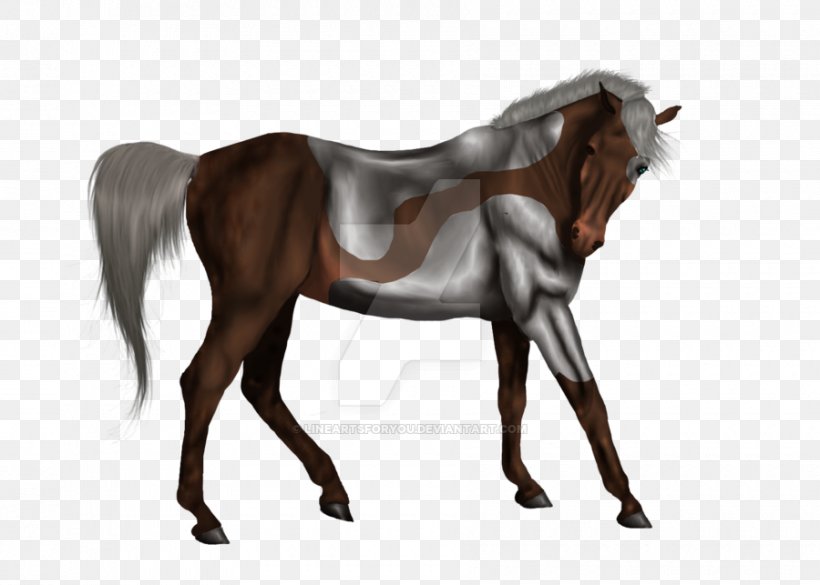 Mustang Stallion Mane Foal Arabian Horse, PNG, 900x643px, Mustang, Arabian Horse, Bridle, Colt, Dun Locus Download Free
