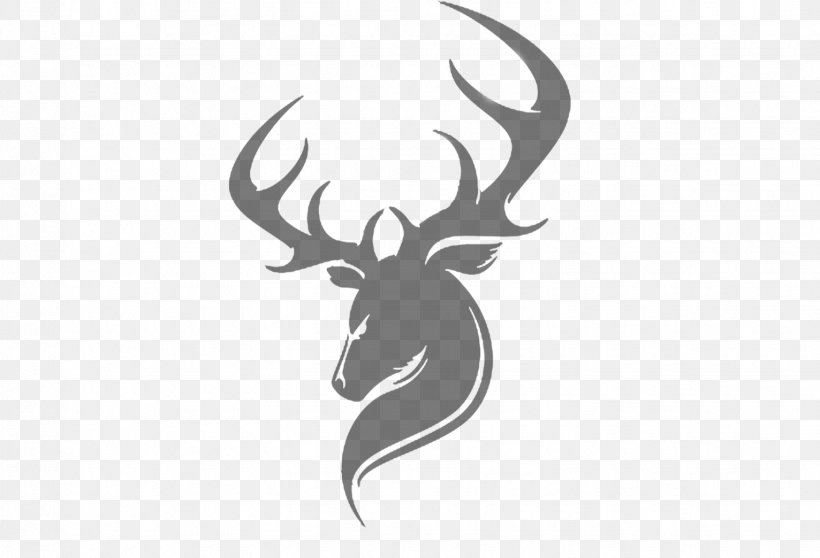 Reindeer Moose, PNG, 1532x1044px, Deer, Antler, Black And White, Elk, Head Download Free