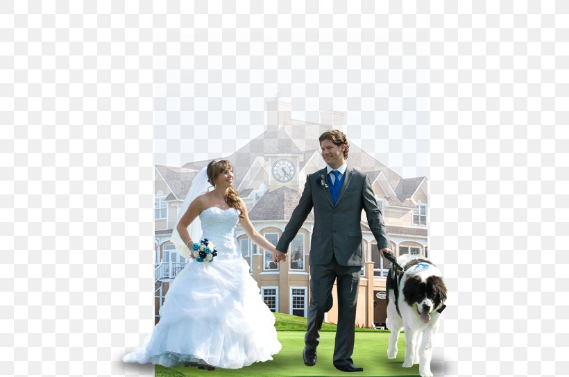 Wedding Dress Bridegroom Marriage, PNG, 517x543px, Wedding Dress, Bridal Clothing, Bride, Bridegroom, Ceremony Download Free