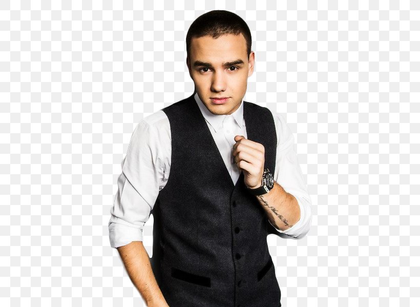 Liam Payne One Direction The X Factor Wolverhampton Take Me Home, PNG, 500x599px, Watercolor, Cartoon, Flower, Frame, Heart Download Free