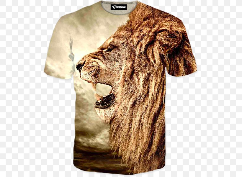 Lion Park Aslan Lion's Roar Hoodie, PNG, 600x600px, Lion, Allposterscom, Aslan, Big Cats, Bluza Download Free