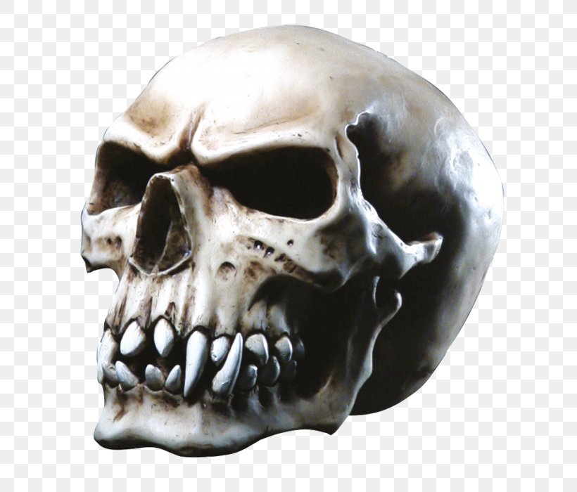 Skull Orc Totenkopf Vampire Goth Subculture, PNG, 700x700px, Skull, Bone, Fantasy, Goth Subculture, Gothic Fiction Download Free