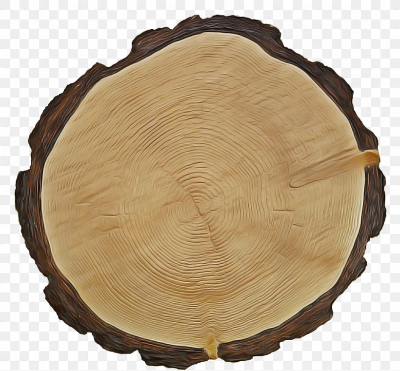 Tree Stump, PNG, 1024x951px, Wood, Beige, Tree, Tree Stump, Trunk Download Free