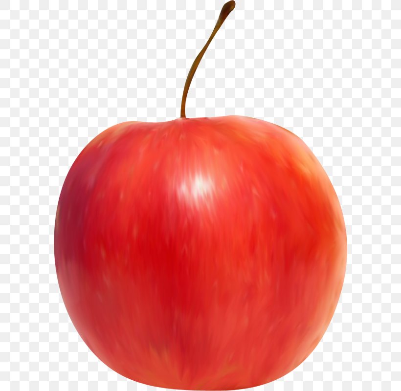 Plum Tomato Still Life Apple Accessory Fruit Clip Art, PNG, 600x800px, Plum Tomato, Accessory Fruit, Acorn, Apple, Food Download Free