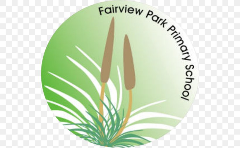 Fairview Park Primary School Primary Education Goodwood Primary School, PNG, 540x506px, School, Department For Education, Education, Elementary School, Flower Download Free