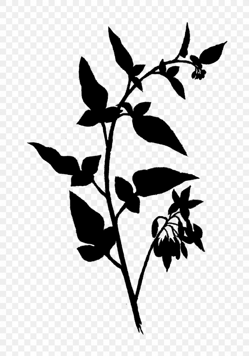 Flower Plant Stem Leaf Clip Art Silhouette, PNG, 1116x1600px, Flower, Blackandwhite, Botany, Branch, Flowering Plant Download Free