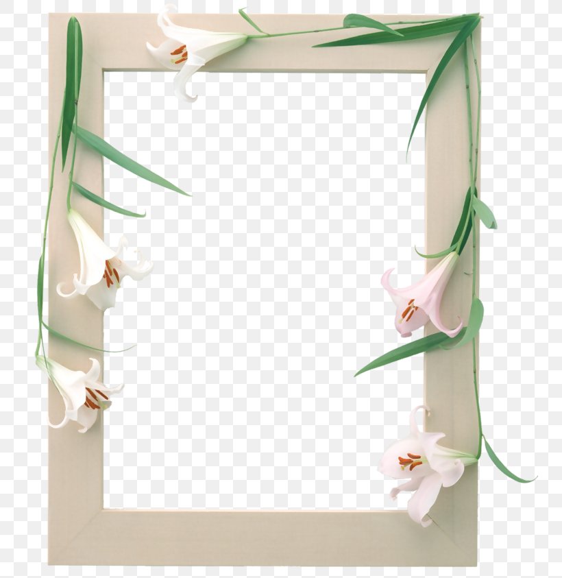 Photograph Picture Frames Adobe Photoshop Image, PNG, 750x843px, Picture Frames, Borders And Frames, Decorative Frames, Film Frame, Floral Design Download Free