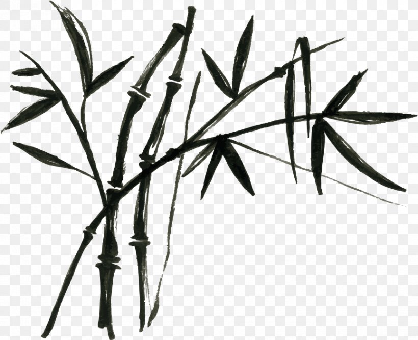 Tropical Woody Bamboos Chinese Cuisine Bamboo Painting Bamboo Shoot, PNG, 864x703px, Tropical Woody Bamboos, Bamboo Painting, Bamboo Shoot, Black And White, Branch Download Free