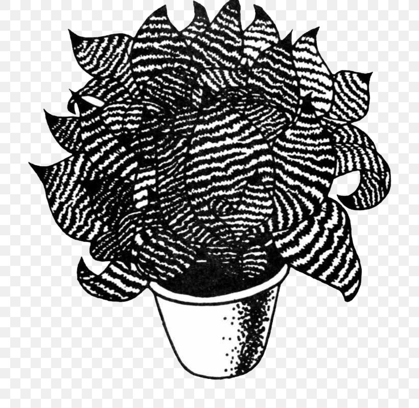 Black And White Monochrome, PNG, 758x798px, Black And White, Flower, Flowering Plant, Flowerpot, Information Download Free