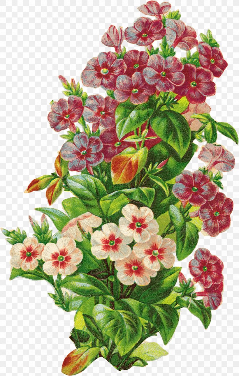 Floral Design Retro Style U68eeu30acu30fcu30eb Flower, PNG, 1650x2598px, Floral Design, Annual Plant, Art, Blossom, Cut Flowers Download Free