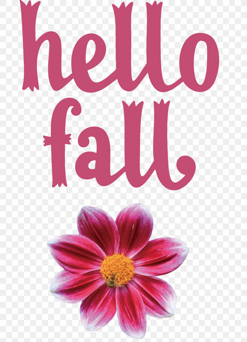 Hello Fall Fall Autumn, PNG, 2170x3000px, Hello Fall, Animation, Autumn, Chrysanthemum, Cut Flowers Download Free