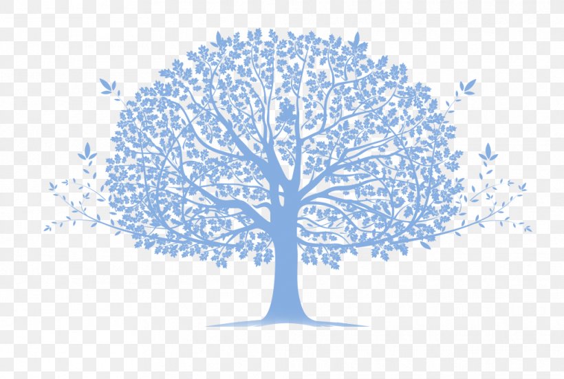Family Tree Genogram Community Genealogy, PNG, 1012x681px, Family, Blue, Branch, Chejire Kazakh, Child Download Free