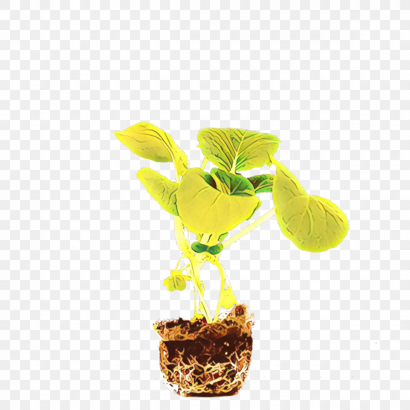 Flower Plant Yellow Flowerpot Houseplant, PNG, 1200x1200px, Flower, Anthurium, Flowerpot, Houseplant, Nepenthes Download Free