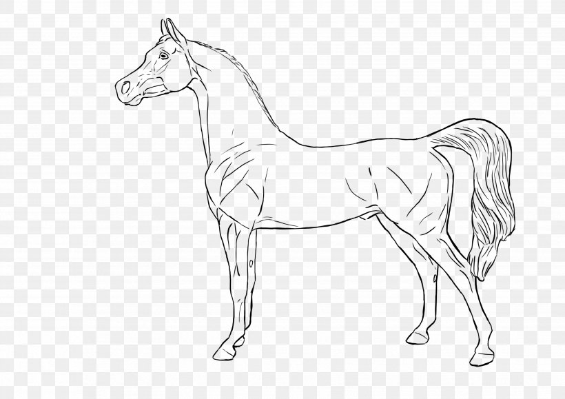 Foal Bridle Mane Model Horse Mustang, PNG, 3508x2480px, Foal, Animal Figure, Artwork, Black And White, Breyer Animal Creations Download Free