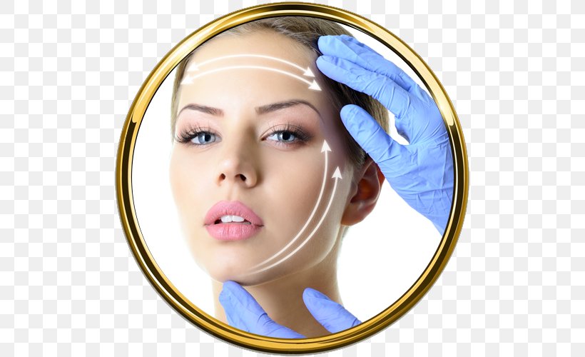 Rhytidectomy Plastic Surgery Aesthetic Medicine, PNG, 500x500px, Rhytidectomy, Aesthetic Medicine, Botulinum Toxin, Cheek, Chin Download Free