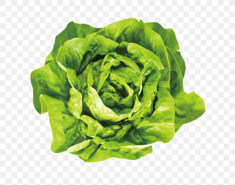 Smoothie Iceberg Lettuce Butterhead Lettuce Romaine Lettuce Leaf Vegetable, PNG, 645x645px, Smoothie, Butterhead Lettuce, Chard, Choy Sum, Collard Greens Download Free