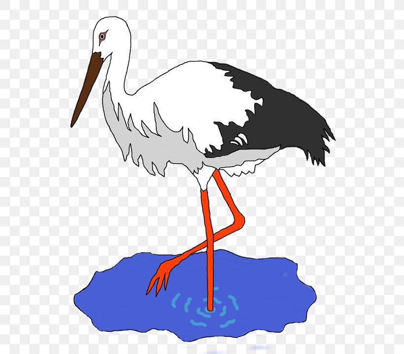 Crane Heron White Stork Bird, PNG, 615x720px, Crane, Beak, Bird, Ciconiiformes, Cranelike Bird Download Free