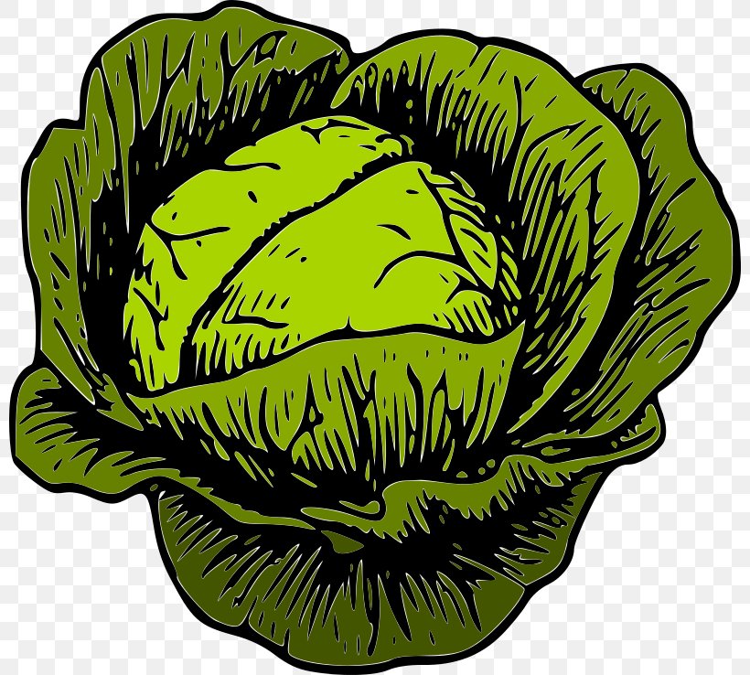 Savoy Cabbage Leaf Vegetable Clip Art, PNG, 800x738px, Savoy Cabbage, Brassica Oleracea, Brussels Sprout, Capitata Group, Cauliflower Download Free