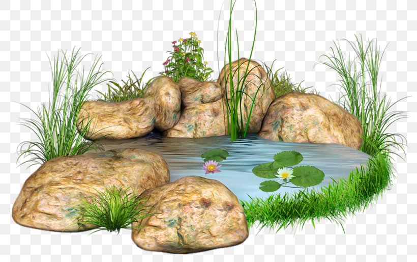 Stone Body Of Water Landscape Design Pond Clip Art, PNG, 800x514px, Stone, Architectural Engineering, Body Of Water, Food, Garden Download Free