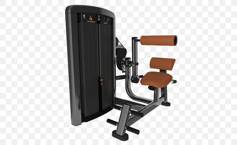 Fitness Centre Exercise Equipment CrossFit Physical Fitness Hyperextension, PNG, 500x500px, Fitness Centre, Aerobics, Bench Press, Bodybuilding, Crossfit Download Free