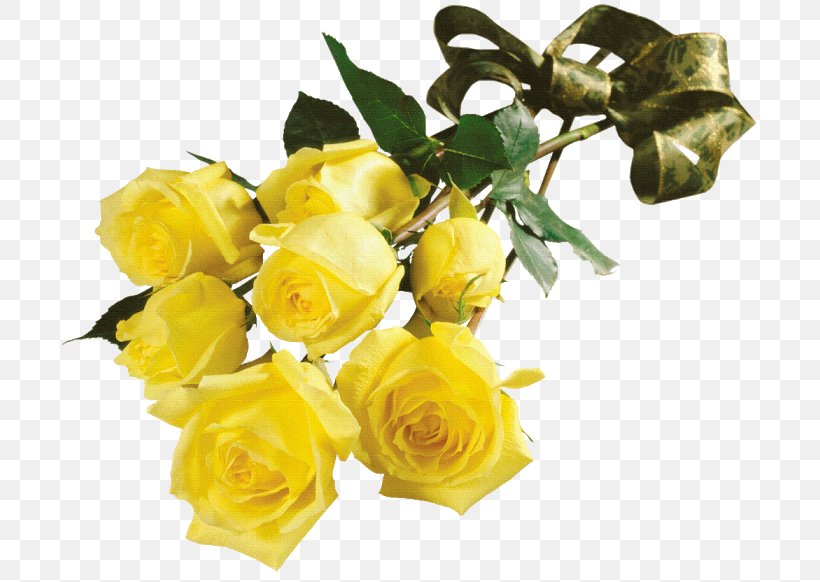 Flower Beach Rose Garden Roses Yellow Clip Art, PNG, 700x582px, Flower, Austrian Briar, Beach Rose, Blue, Blue Rose Download Free