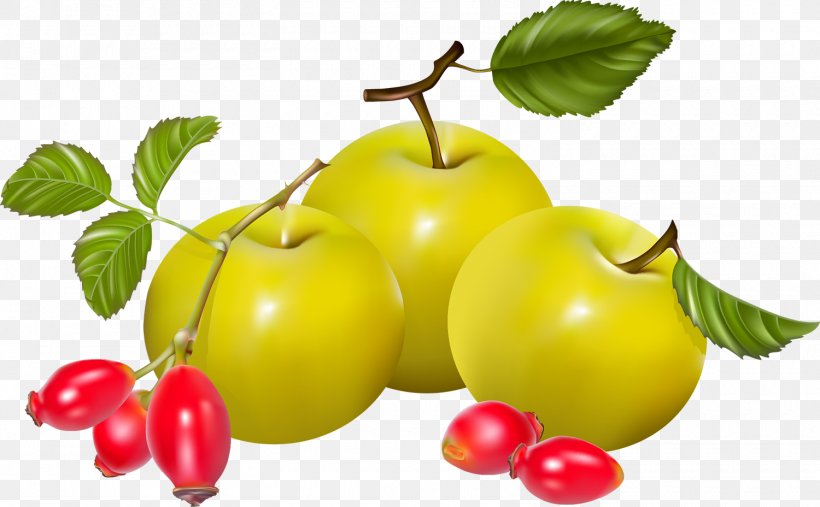 Juice Pear Auglis Vegetable, PNG, 1500x928px, Juice, Acerola, Acerola Family, Apple, Auglis Download Free