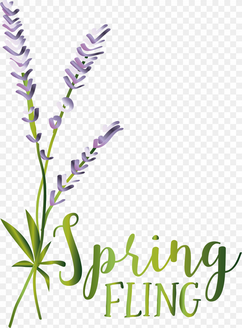 Lavender, PNG, 4514x6121px, Plant Stem, Biology, Cut Flowers, Flower, Geometry Download Free