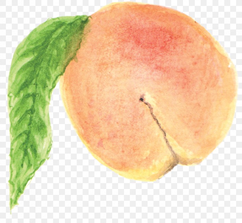 Crumble Peach English Watercolour Painting Clip Art, PNG, 827x762px, Crumble, Apple, Diet Food, English Watercolour Painting, Food Download Free