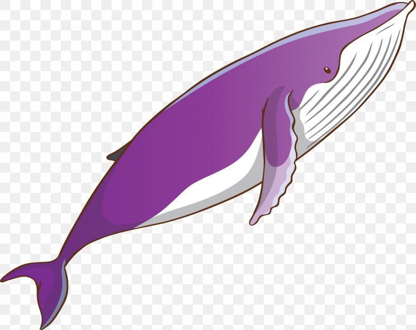 Fin Bottlenose Dolphin Dolphin Cetacea Blue Whale, PNG, 3000x2379px, Watercolor Whale, Blue Whale, Bottlenose Dolphin, Cetacea, Common Dolphins Download Free