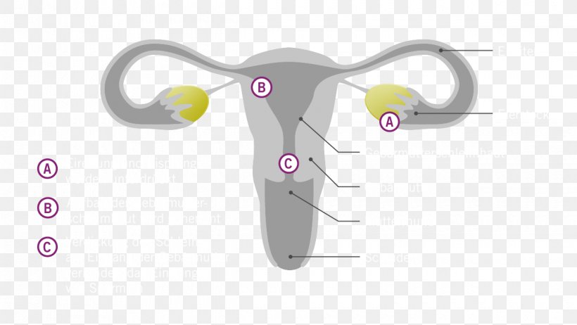 Hormone Etonogestrel Birth Control Implant Antibabypille Uterus, PNG, 1240x700px, Hormone, Antibabypille, Birth Control, Branching, Cartoon Download Free