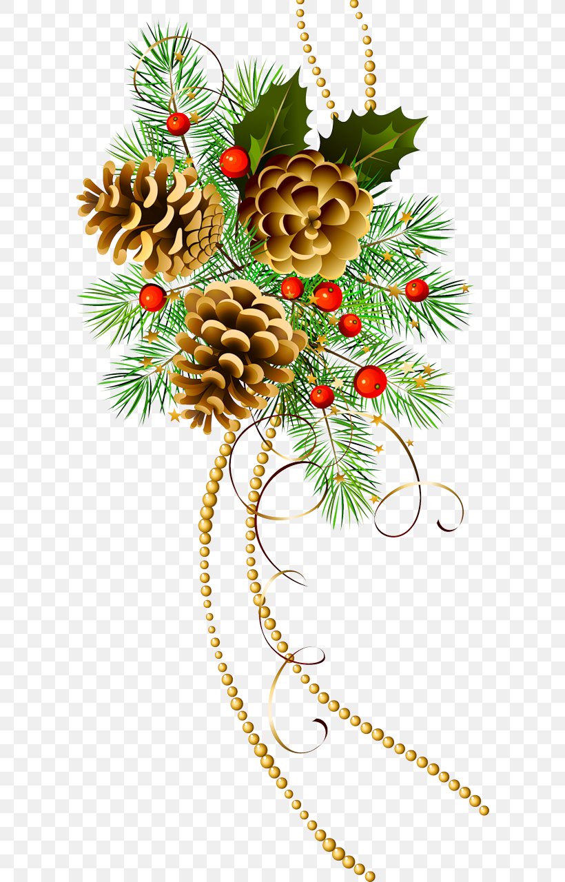 Pine Conifer Cone Clip Art, PNG, 600x1280px, Pine, Branch, Christmas, Christmas Card, Christmas Decoration Download Free