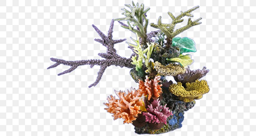 Sea Clip Art Image Vector Graphics Ocean, PNG, 580x435px, Sea, Aquarium Decor, Coral, Coral Reef, Deep Sea Download Free