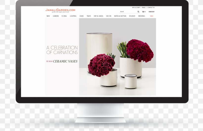 DotcomWeavers Web Design Farview Terrace, PNG, 1200x778px, Web Design, Brand, Floral Design, Flower, Paramus Download Free