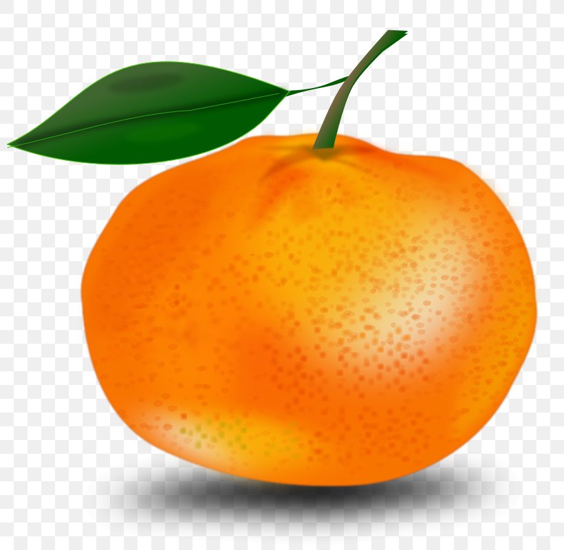 Orange Free Content Clip Art, PNG, 800x800px, Orange, Bitter Orange, Citric Acid, Citrus, Clementine Download Free