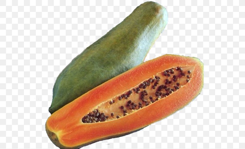 Papaya Jackfruit Auglis Tree, PNG, 604x501px, Papaya, Auglis, Avocado, Breadfruit, Common Guava Download Free