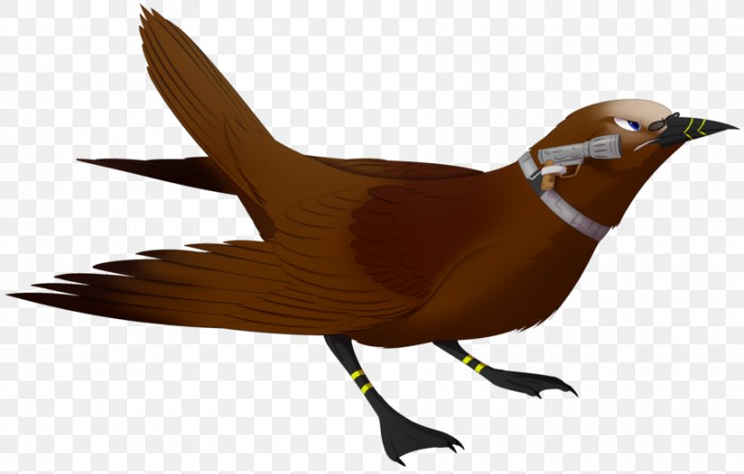 Beak Bird Galliformes Fauna Wing, PNG, 900x575px, Beak, Bird, Fauna, Feather, Galliformes Download Free