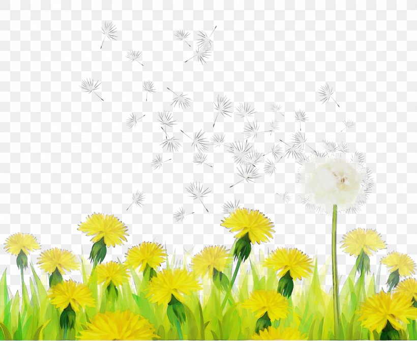 Drawing Of Family, PNG, 1280x1047px, Watercolor, Daisy, Daisy Family, Dandelion, Drawing Download Free
