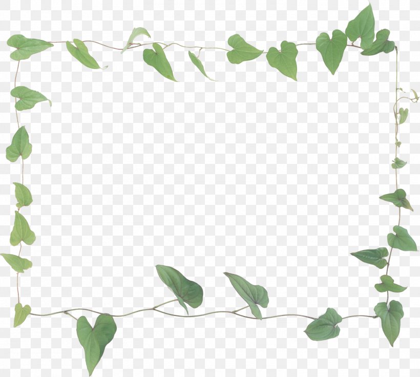 Green Flower Theme No Yellow, PNG, 1500x1348px, Green, Border, Branch, Computer, Flora Download Free