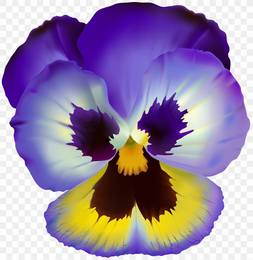Pansy Drawing, PNG, 4872x5000px, Pansy, Color, Drawing, Flower, Flowering Plant Download Free