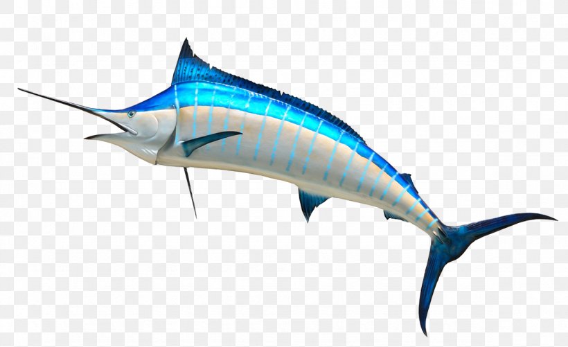 Atlantic Blue Marlin Royalty-free Clip Art, PNG, 1181x722px, Marlin, Atlantic Blue Marlin, Billfish, Bony Fish, Dolphin Download Free