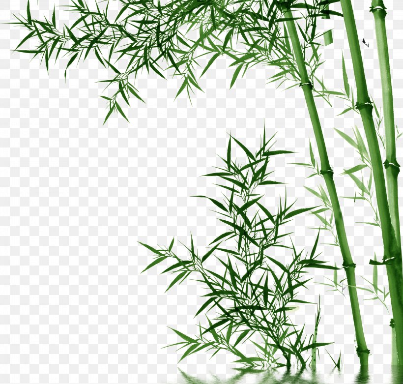 Bamboo Toothpaste, PNG, 3000x2858px, Bamboo, Bamboo Charcoal, Grass, Grass Family, Hemp Download Free