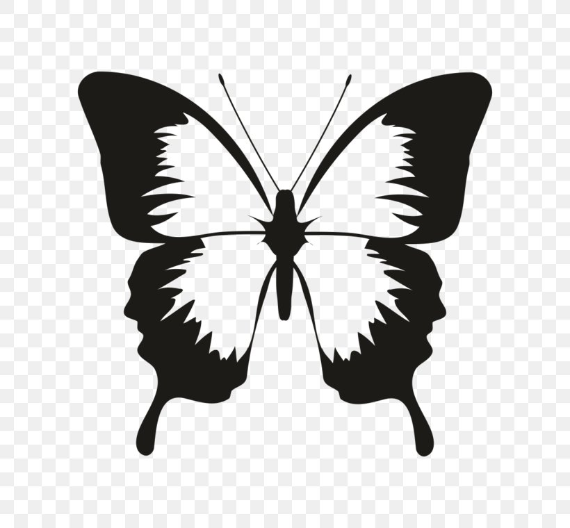 Butterfly Silhouette Vector Graphics Clip Art Insect, PNG, 760x760px, Butterfly, Blackandwhite, Drawing, Insect, Invertebrate Download Free