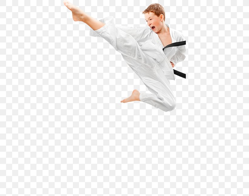 Japan Shotokan Karate Association Martial Arts Taekwondo Self-defense, PNG, 404x646px, Watercolor, Cartoon, Flower, Frame, Heart Download Free