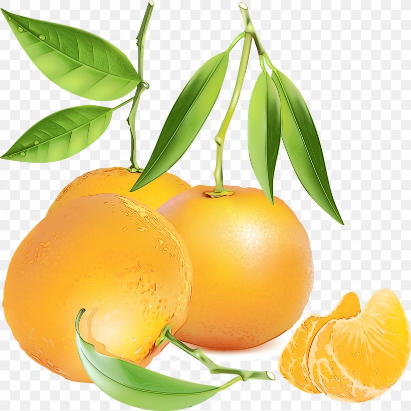 Orange Tree, PNG, 2214x2219px, Clementine, Citrus, Flower, Food, Fruit Download Free