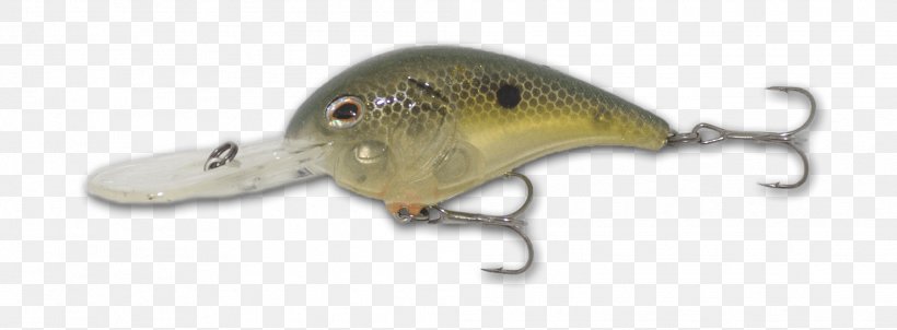 Spoon Lure Ghost Perch Trophy Technology, PNG, 2016x744px, Spoon Lure, Bait, Email, Fish, Fishing Bait Download Free