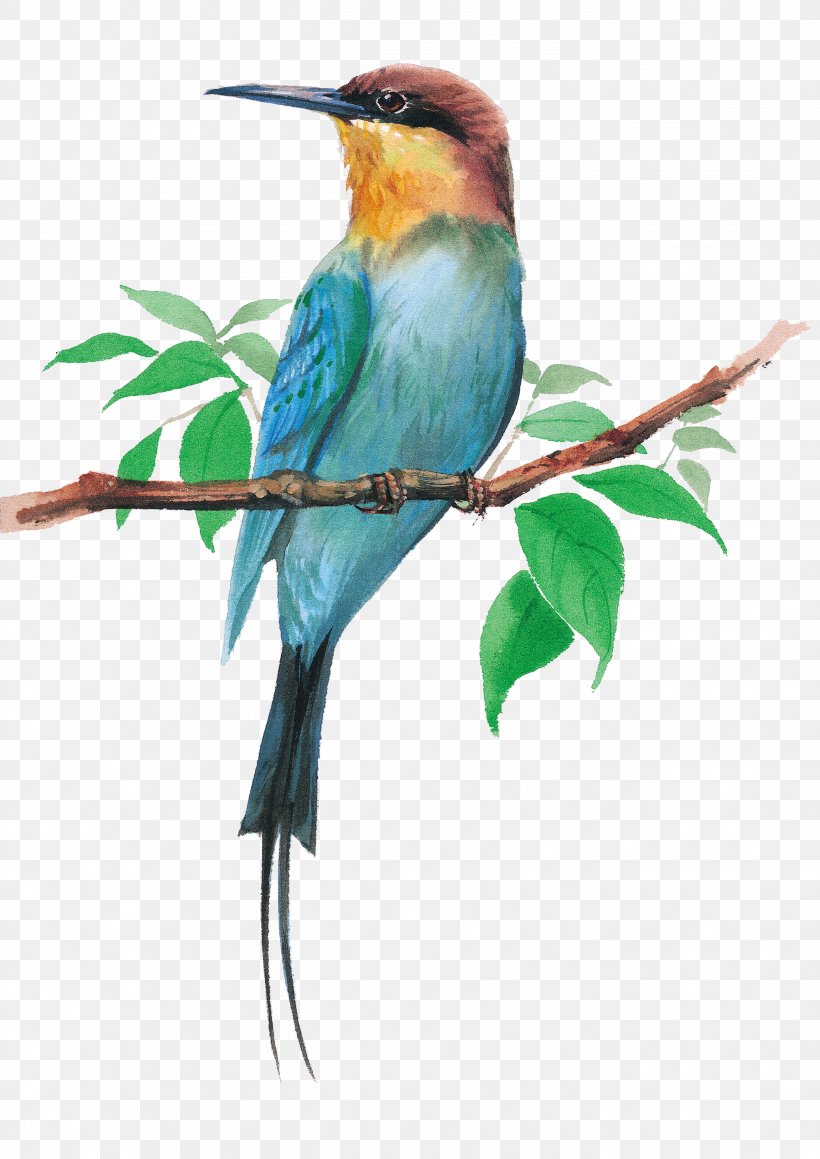 Bird Dog Watercolor Painting Cartoon Illustration, PNG, 2839x4016px, Bird, Animal, Beak, Birdandflower Painting, Branch Download Free