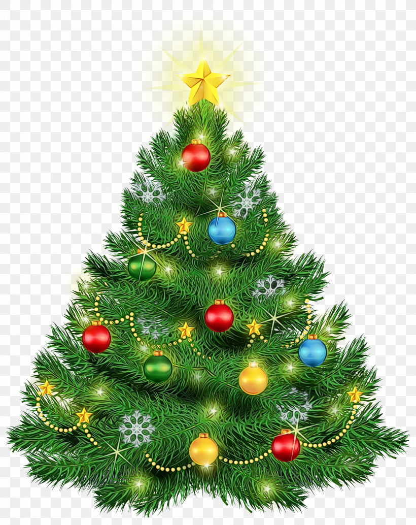 Christmas Tree, PNG, 1900x2396px, Watercolor, Balsam Fir, Christmas Decoration, Christmas Ornament, Christmas Tree Download Free