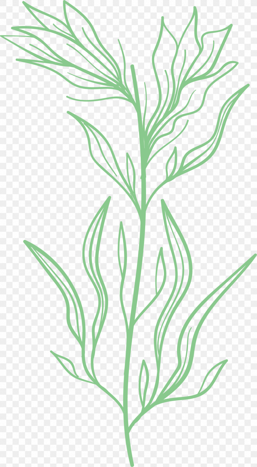 Simple Leaf Simple Leaf Drawing Simple Leaf Outline, PNG, 1450x2637px, Simple Leaf, Biology, Commodity, Flower, Grasses Download Free