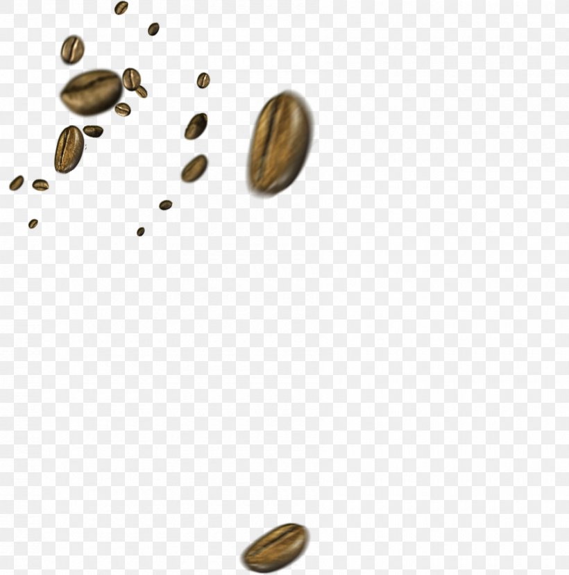 Coffee Bean Cafe, PNG, 900x909px, Coffee, Arabica Coffee, Bean, Cafe, Coffee Bean Download Free