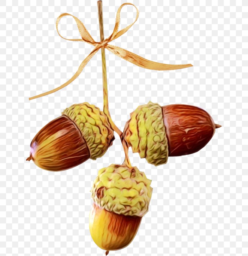 Dry Tree, PNG, 650x848px, Watercolor, Acorn, Autumn, Chestnut, Dry Fruits Download Free